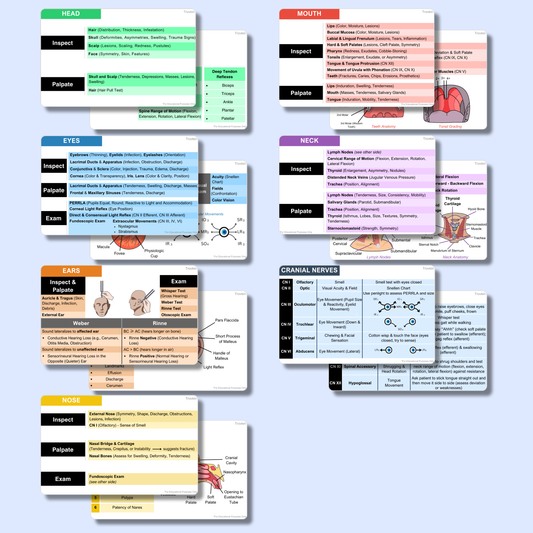 HEENT Physical Exam Pocket Badge Card - Patient Exam Reference Guide